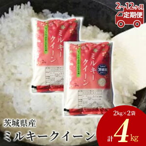yӂ邳Ɣ[Łzyցz錧Y ~L[NC[ 4kgi2kg×2܁j 2`12 ւ̔zs@2025N11菇\