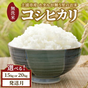 yӂ邳Ɣ[ŁzyIׂeʁEzߘa7NY yYsY RVqJ  z^̂ ւ̔zs