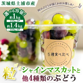 【ふるさと納税】【選べる容量】シャインマスカットと他4種類のぶどう（粒）　※離島への配送不可　※2025年9月中旬～10月下旬頃に順次発送予定