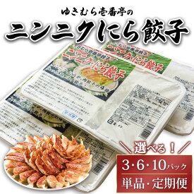 【ふるさと納税】＼選べる内容量・定期回数／ ゆきむら壱番亭のニンニクにら餃子 ※離島への配送不可