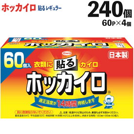 【ふるさと納税】ホッカイロ 貼るレギュラー 60P×4個（計240個）※離島への配送不可| カイロ 240枚 レギュラーサイズ 貼る 使い捨て 防寒 寒さ対策 冷え対策 スポーツ観戦 防災 通勤 通学 腰 背中 ご家庭用 ギフト 贈答 贈り物 プレゼント お歳暮 _DJ08