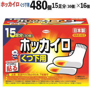 yӂ邳Ɣ[ŁzzbJC p 15i30j×16iv480jւ̔zs| JC 480 Cp \ ĝ h ΍ [₦ ₦΍ X|[cϐ h ʋ ʊw 