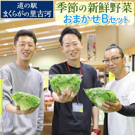 【ふるさと納税】道の駅まくらがの里古河　季節の新鮮野菜おまかせBセット ※北海道・沖縄・離島への配送不可 | 野菜 詰合せ 詰め合わせ セット アソート 新鮮 道の駅 人気 ギフト 贈答 贈り物 プレゼント お中元 お歳暮 茨城県 古河市 直送 農家直送 _BQ04