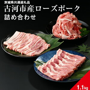 yӂ邳Ɣ[ŁzÉ͎sY[Y|[Nwlߍ킹1.1kgxq錧ʕԗir|  ؓ Y uh Ⓚ ē BBQ  Hה Hׂ [X o ؂藎Ƃ Zbgi l