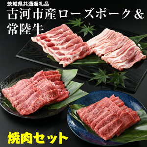 yӂ邳Ɣ[ŁzÉ͎sY[Y|[N헤wēZbgxq錧ʕԗir|   ؓ Y uh Ⓚ BBQ ē  o ؃o Jr [X [X [X