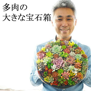 yӂ邳Ɣ[ŁzÅ񂹐A 9 | ϗtA A O[  񂹐A  A Mtg  蕨 v[g j  _ƒ 錧 É͎s  J LO