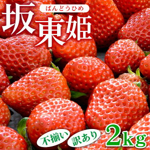 yӂ邳Ɣ[ŁzⓌP 2kg s󂠂b  C`S 󂠂 ⓌY ʕ t[c gق IWi uh Ԍ Gߕ  Â _ 錧 É͎s_CB22 kC