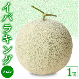【ふるさと納税】【先行予約】イバラキング メロン 1玉｜メロン ブランド 果物 フルーツ 坂東太郎 期間限定 季節物 高級 美味しい 甘い 緑色 茨城県 古河市_CB23 ※北海道・沖縄・離島への配送不可 ※2026年7月上旬頃より順次発送予定
