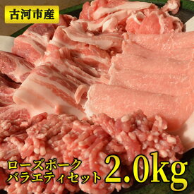 【ふるさと納税】 ふるさと納税 焼肉 古河市産ローズポークバラエティセット2.0kg【全国銘柄食肉コンテストで最優秀賞を受賞】 | 肉 豚肉 BBQ 詰め合わせ ギフト ブランド 冷凍 BBQ 小分け 食べ比べ ロース ひき肉 切り落とし 贈答 贈り物 お中元 お歳暮 プレゼント _AD01