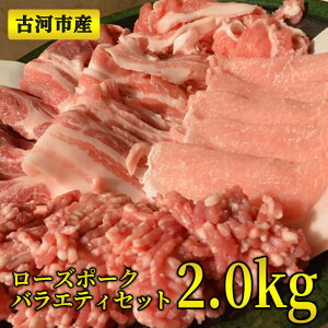 yӂ邳Ɣ[Łz ӂ邳Ɣ[ ē É͎sY[Y|[NoGeBZbg2.0kgySHReXgōŗDG܂܁z |  ؓ BBQ lߍ킹 Mtg uh Ⓚ BBQ  H