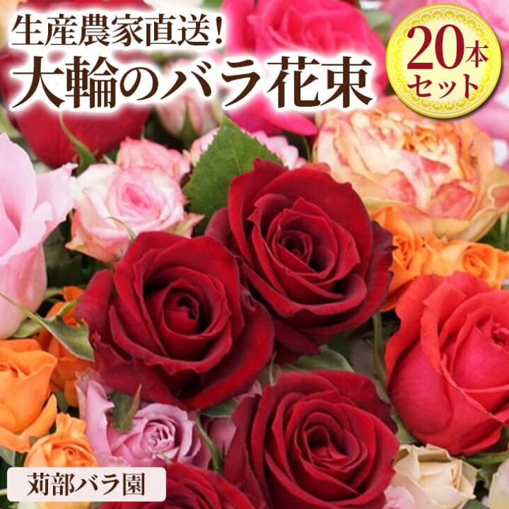 楽天市場 ふるさと納税 Al01 生産農家直送 大輪のバラ花束 20本セット 贈答用 プレゼント ギフト 薔薇 産地直送 父の日 茨城県古河市 楽天市場 ふるさと納税 Al01 生産農家直送 大輪のバラ花束 20本セット 贈答用 プレゼント ギフト 薔薇 産地直送 父の日 茨城県古河市