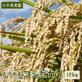 【ふるさと納税】【令和7年産】古河市産 コシヒカリ10kg【小久保農園】 | 米 茨城県 こめ コメ 白米 ご飯 単一米 国産 古河市 茨城県産 定番 おいしい ギフト 贈答 贈り物 プレゼント お祝 ご褒美 記念日 景品 _AS02