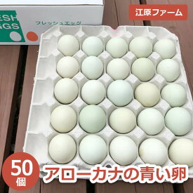 【ふるさと納税】ふるさと納税 たまご 江原ファーム アローカナの青い卵（50個）タマゴ 生みたて 新鮮_AG02