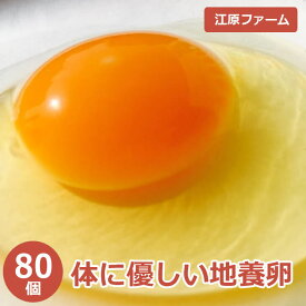 【ふるさと納税】江原ファーム 体に優しい地養卵（80個） たまご/タマゴ/生みたて/新鮮/_AG05