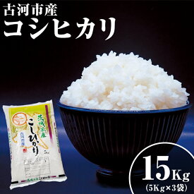 【ふるさと納税】令和5年産 関東平野で育った古河市産コシヒカリ 15kg（5kg×3袋）_DG01※着日指定不可※離島への配送不可