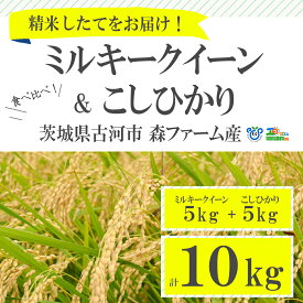 【ふるさと納税】食べくらべ！特別栽培米　こしひかりとミルキークイーン5kgずつのセット_BI01