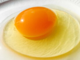 【ふるさと納税】AG05_江原ファーム　体に優しい地養卵（80個）　たまご/タマゴ/生みたて/新鮮/