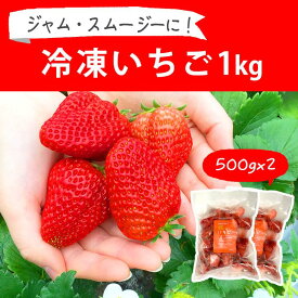 【ふるさと納税】摘みたて！便利な小分け！冷凍いちご1kg(500g×2)_BI08