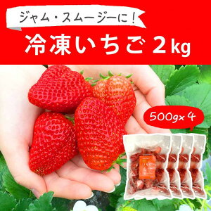 yӂ邳Ɣ[ŁzE݂āI֗ȏIⓀ2kg(500g×4)b  C`S 2L Ⓚ t[c   W X[W[ X ΂LbX gق ڂ ݂