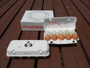 yӂ邳Ɣ[Łz]t@[ ӂ邳Ɣ[ ܂ n{A[Jin[tZbg v20 ⏞ Hה ʎq ܂ ^}S  { Y݂ A[Ji n{ Zbg VN Z