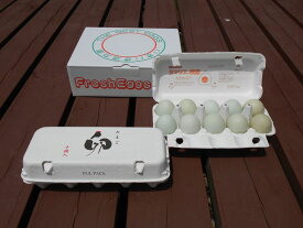 【ふるさと納税】江原ファーム アローカナの青い卵（計20個）ふるさと納税 たまご_AG10