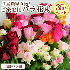 yӂ邳Ɣ[Łz󂠂@Y_ƒIƒpoԑ35{Zbg ȈՕ Eւ̔zs| o KN ΂ ԑ p ӏ CeA VN E݂ ̂ꂽ 錧 