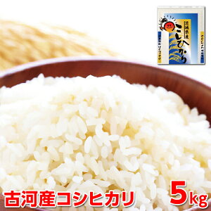 yӂ邳Ɣ[ŁzyVāzߘa7NY É͎YRVqJi5kgjb R  ͂  Sn  P Y RVqJ Ђ 5kg 錧 É͎s w Mtg  蕨 