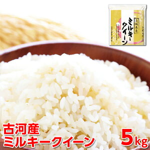 yӂ邳Ɣ[ŁzyVāzߘa7NY É͎Y~L[NC[i5kgjb R  ͂  Sn  P Y ~L[NC[ 5kg 錧 É͎s w Mtg  Mtg 