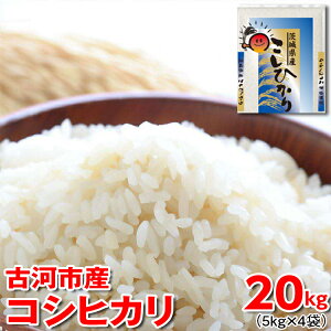 yӂ邳Ɣ[ŁzyVāzߘa7NY É͎sY RVqJ 20kgi5kg×4܁jb R  ͂  Sn  P Y RVqJ Ђ 5kg×4 20kg 錧 É͎s w Mt