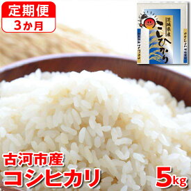 【ふるさと納税】【定期便 3か月】令和5年産 古河市産コシヒカリ 5kg 米 こめ コメ こしひかり 単一米 国産_DP34