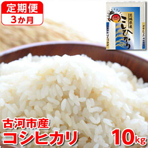yӂ邳Ɣ[Łzy 3zyVāzߘa7NY É͎sYRVqJ 10kgi5kg×2܁jb R  ͂  Sn  P Y RVqJ Ђ 10kg  3 3 