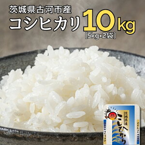 yӂ邳Ɣ[ŁzyVāzߘa7NY É͎ŝ RVqJ 10kg(5kg×2܁j |   R 10L Ђ RVqJ É͎sY 錧Y  蕨 v[g 錧 É͎s  Yn