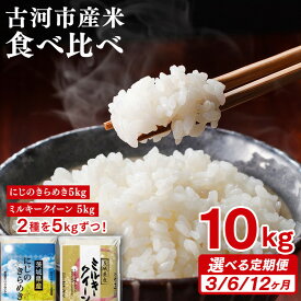 【ふるさと納税】＼選べる回数／ 令和7年産 古河のお米食べ比べセット（ミルキークイーン・にじのきらめき）5kg×2種類｜米 コメ こめ ごはん ご飯 ゴハン 白飯 単一米 国産 ミルキークイーン にじのきらめき ※2025年9月下旬頃より順次発送予定 _DP06 _DP58 _DP59 _DP60