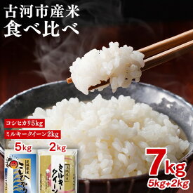 【ふるさと納税】令和7年産 古河市産 食べ比べ コシヒカリ5kg+ミルキークイーン2kg 合計7kg｜米 コメ こめ ごはん ご飯 ゴハン 白飯 単一米 国産 コシヒカリ こしひかり ミルキークイーン 食べ比べ 5kg 2kg 7kg ※2025年9月中旬頃より順次発送予定 _DP27