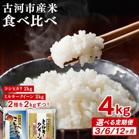 【ふるさと納税】＼選べる定期便／令和7年産 古河市のお米食べ比べ コシヒカリ・ミルキークイーン 2kg×2種類｜米 コメ こめ ごはん ご飯 ゴハン 白飯 単一米 国産 コシヒカリ こしひかり ミルキークイーン 食べ比べ 定期便 茨城県 古河市_DP49_DP50_DP51