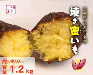 yӂ邳Ɣ[ŁzyXC[ĉ悤ȊÂzĂi1.2kgj_DP12 |   ܂ Ĉ ₫ C LC Â  XC[c َq َq N H@   ˂