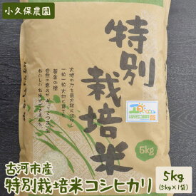【ふるさと納税】【令和7年産】古河市産 特別栽培米コシヒカリ5kg【小久保農園】 | こめ コメ 米 白米 精米 ご飯 単一米 国産 茨城県産 古河市 ギフト 贈答 贈り物 プレゼント お祝 ご褒美 記念日 景品 _AS05