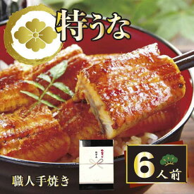 【ふるさと納税】うなぎ蒲焼6人前（1人前約100g×6）贈答用パッケージ ｜ うなぎ 鰻 ウナギ 600グラム 国産 かば焼き 蒲焼き 蒲焼 うな重 ひつまぶし たれ 山椒 人気 おすすめ 取り寄せ お取り寄せ グルメ 惣菜 ギフト 贈答 お歳暮 御歳暮 _AT20