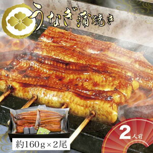 yӂ邳Ɣ[ŁzȂ2lOi1lO160g×2jppbP[WbȂ V EiM 320O Y ΏĂ Ă  ȏd Ђ܂Ԃ  R lC   