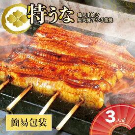 【ふるさと納税】うなぎ蒲焼3人前（1人前約160g×3）ご自宅用パッケージ ｜ うなぎ 鰻 ウナギ 480グラム 国産 かば焼き 蒲焼き 蒲焼 うな重 ひつまぶし たれ 山椒 人気 おすすめ 取り寄せ お取り寄せ グルメ 惣菜 贈り物 プレゼント ご自宅用 _AT29