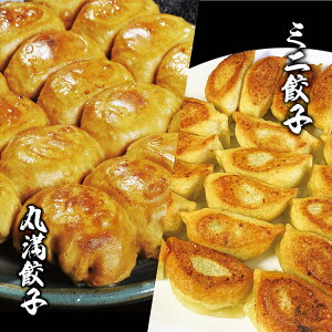 【ふるさと納税】焼餃子ミニセット(MM+)焼餃子7包み(14人前)・ミニ餃子7包み(14人前) ※着日指定不 | 丸満 餃子 ぎょうざ ギョウザ ミニ餃子 簡単調理 惣菜 おつまみ 餃子 焼餃子 マル