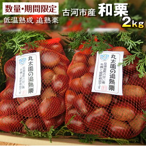 yӂ邳Ɣ[ŁzyʁEԌzቷn ǏnI 2Kg É͎sYaI Y ւ̔zs 2025N10{菇\_BF15