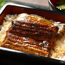 【ふるさと納税】うなぎ 炭火 かば焼き 上 2人前 | 備長木炭使用 老舗増田家 鰻 ウナギ かば焼き 蒲焼き 蒲焼 うな重 ひつまぶし 食べ比べ 詰め合わせ おすすめ お取り寄せ グルメ 惣菜 ギフト 贈答 贈り物 プレゼント お中元 お歳暮 直送 店舗直送 茨城県 古河市 _ED02