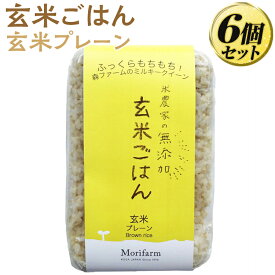 【ふるさと納税】米農家の無添加 玄米ごはん 玄米プレーン 6個セット ｜無添加 低農薬 米 コメ こめ ごはん ご飯 ゴハン 白飯 スプリング ライス ミルキー クイーン ブレンド 水へのこだわり 地下水 贈答 玄米 ビタミン ミネラル 食物繊維 ギフト _BI72