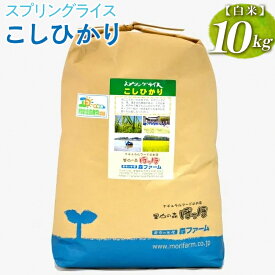 【ふるさと納税】スプリングライス こしひかり (白米)10kg ｜ 米 こめ コメ 10キロ 精米 白米 こしひかり コシヒカリ 古河市産 茨城県産 取り寄せ お取り寄せ ギフト 贈答 贈り物 プレゼント お中元 お歳暮 記念日 お祝 景品 _BI26