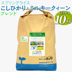 【ふるさと納税】スプリングライス こしひかり・ミルキークィーン ブレンド (白米)10kg_BI28※着日指定不可