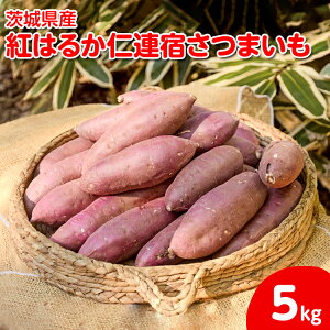 yӂ邳Ɣ[Łzy2025N12菇zyTCY~bNXz錧Yg͂邩mAh܂5kg b ܂ F    N wV[  XC[c H@  