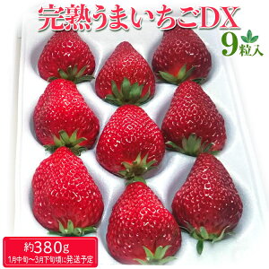 �y�ӂ邳�Ɣ[�Łz���n���܂������f���b�N�X 9���� ��380g�b������ �C�`�S � �t���[�c �ʕ� ���Y ��錧�Y ���n �Â� �������� �M�t�g ���� ���蕨 �v���[���g ���j�� ���J�� �ƒ�p �L�O�� �i