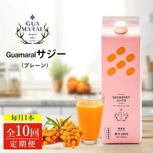 yӂ邳Ɣ[Łzy10JzTW[ OA}TW[ 1000ml@1{10JR[XbTW[W[X TW[ V[x[  OA} NhN N e h{ ʏ` S⋋ h
