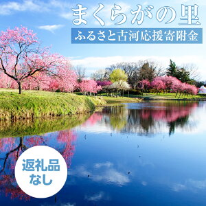 yӂ邳Ɣ[Łz܂炪̗@ӂ邳ƌÉ͉񕍋10,000~yԗiȂz _CV06
